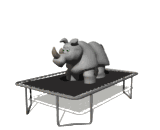 Gif animé rhinocéros saute